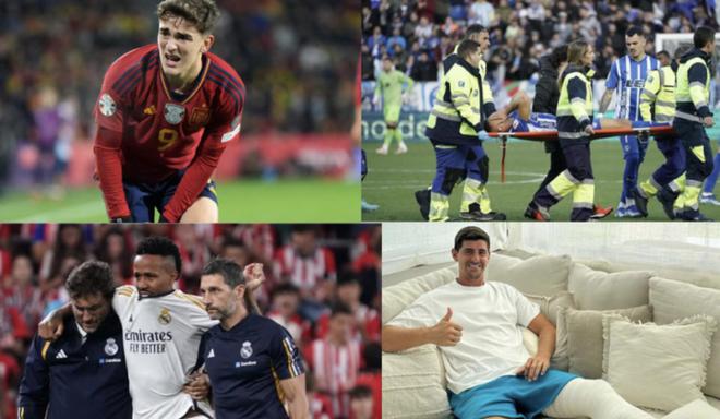 届赛事的主 届赛事的主